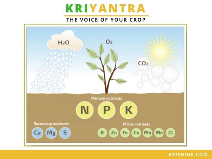 What’s wrong with your crop